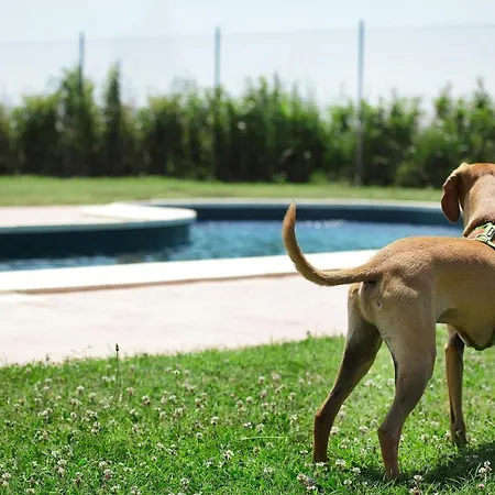 Farmház Delizia D'este *