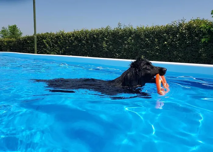 Delizia D'este Francolino