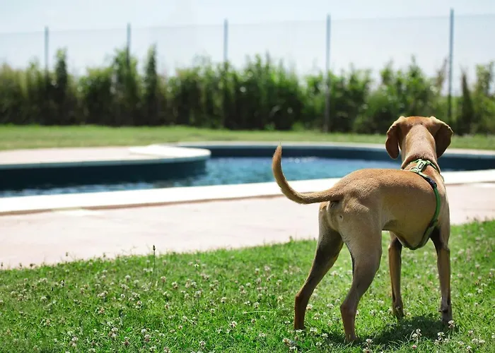 Farm stay Delizia D'este *